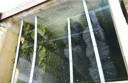 gambar aplikasi brush pada chamber filter mekanik 128x83 Membuat Kolam Koi Ideal, Hal Hal Yang Perlu Mendapatkan Perhatian