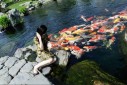 human koi interaction fr kichi nguyen 127x85 Tips Cara Memberi Makan Ikan Koi