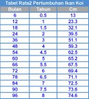 tabel rata2 pertumbuhan koi 127x141 Tips Cara Memberi Makan Ikan Koi
